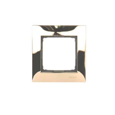 1-fach Universalrahmen IP20 / IP44 Gold