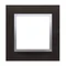 1-fold frame Nature-Metal INOX YIN IP20/IP44