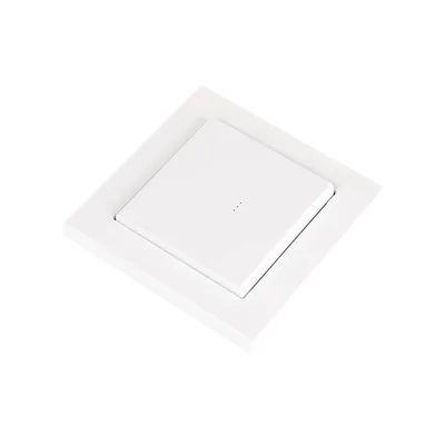 1-key 2-channel white radio button for lighting control