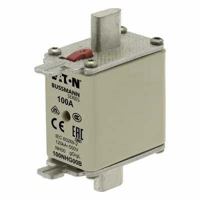 100NHG00B NH00 fusibile 100A 500V GL/GG doppio indicatore