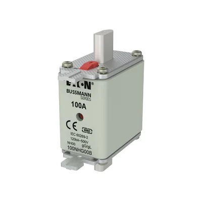 100NHG00B NH00 fusibile 100A 500V GL/GG doppio indicatore
