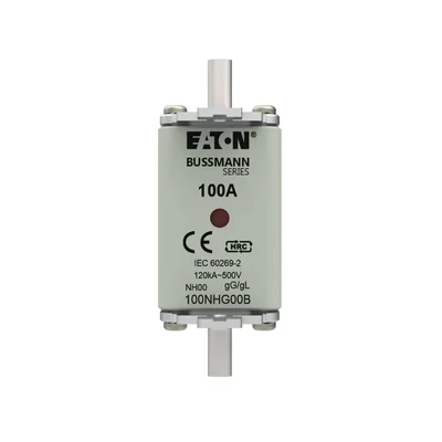 100NHG00B NH00 Sicherungseinsatz 100A 500V GL/GG Doppelanzeige