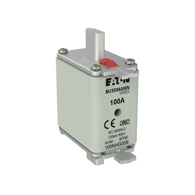 100NHG00B NH00 Sicherungseinsatz 100A 500V GL/GG Doppelanzeige