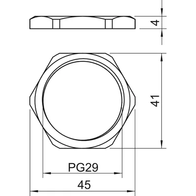 169 MS PG29 Locknut