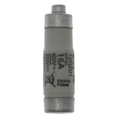 16NZ01 Einsatz D01 16A T GL/GG 400VAC E14