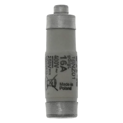 16NZ01 Insert D01 16A T GL/GG 400VAC E14