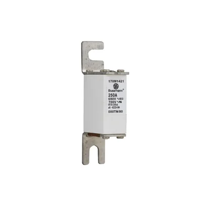 170M1421 Rychlá pojistka 250A 690V 000TN/80 AR UC