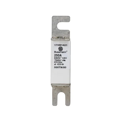 170M1421 Швидкий запобіжник 250A 690V 000TN/80 AR UC