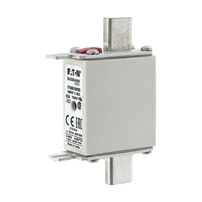 170M1565D Fast fuse insert 63A 690V gR DIN 000 double indicator
