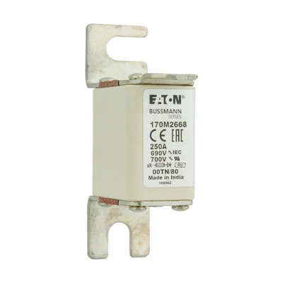 170M2668 Швидкодіюча вставка, 250 A, AC 690 V, DIN 00, aR, DIN, IEC, неізольовані ручки