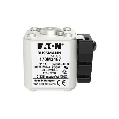 170M3467 Schnellsicherungseinsatz, 315 A, 690 V Wechselstrom, kompakte Baugröße 1, aR, IEC, UL