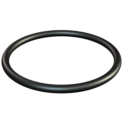 171 Guarnizione O-ring M16