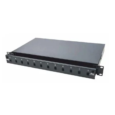 19'' 1U-Panel mit 24xSC Simplex/LC Duplex/E2000 Frontsteckdosen, Light-Version