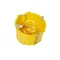 2-module flush-mounted box for plaster walls