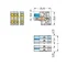 2-polige Push-in CAGE CLAMP®-Steckdose, vollständiger Verpolungsschutz, hellgrau 721-2103/026-000
