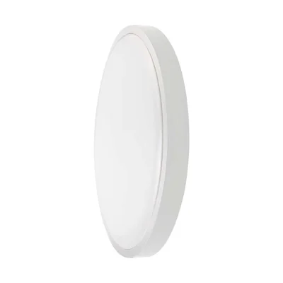 24W LED stropní svítidlo / Průměr: 295 mm / Barva: 4000K / Stínidlo: Kulatý mléčně bílý rám / IP44