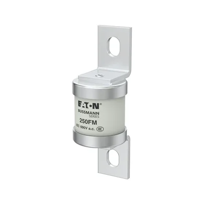 250FM Fast-blow insert, 250 A, AC 690 V, BS88, 41 x 113 mm, aR, BS