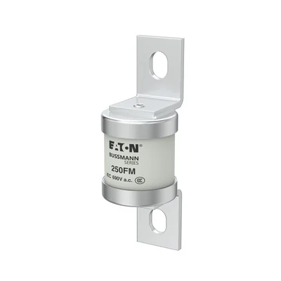 250FM Fast-blow insert, 250 A, AC 690 V, BS88, 41 x 113 mm, aR, BS