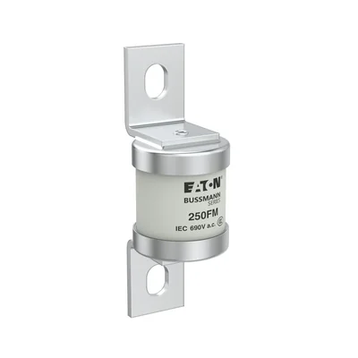 250FM Fast-blow insert, 250 A, AC 690 V, BS88, 41 x 113 mm, aR, BS