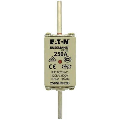 250NHG02B Fusibile NH02 250A 500V GL/GG doppio indicatore