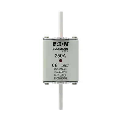 250NHG2B NH2-Sicherungseinsatz 250A 500V GL/GG Doppelanzeige