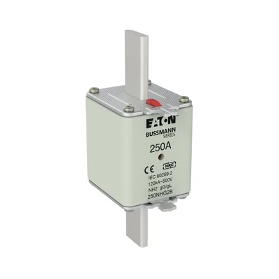 250NHG2B NH2-Sicherungseinsatz 250A 500V GL/GG Doppelanzeige