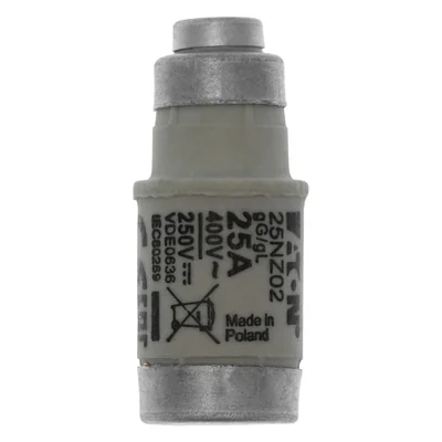 25NZ02 Einsatz D02 25A T GL/GG 400VAC E18