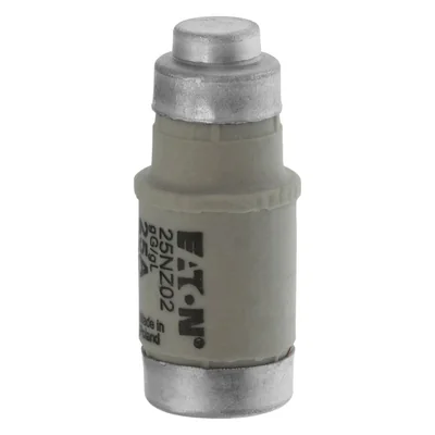 25NZ02 Vložka D02 25A T GL/GG 400VAC E18