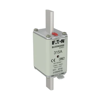 315NHG1B Fusibile NH1 315A 500V GL/GG doppio indicatore