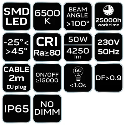 50W SMD LED spotlight 4250 lm 230V portable