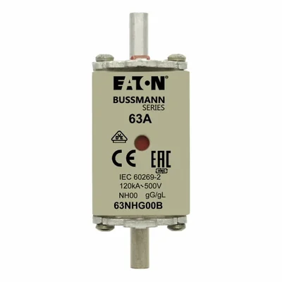 63NHG00B NH00 fuse link 63A 500V GL/GG double indicator