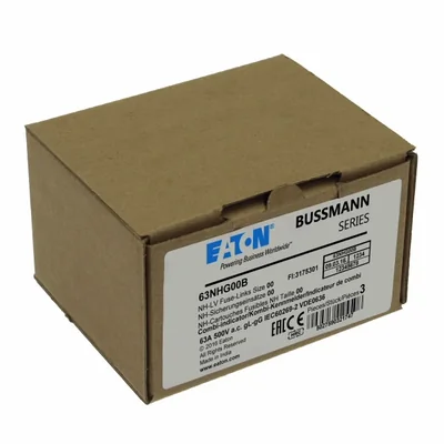 63NHG00B NH00 Sicherungseinsatz 63A 500V GL/GG Doppelanzeige