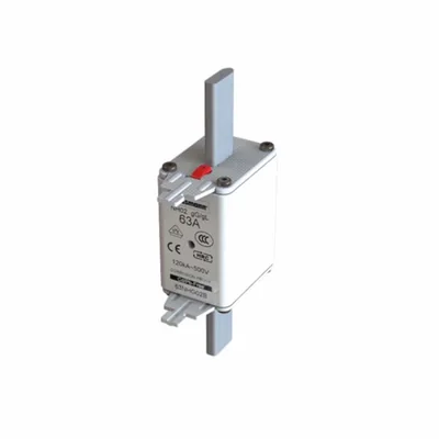 63NHG02B Fusibile NH02 63A 500V Indicatore doppio GL/GG