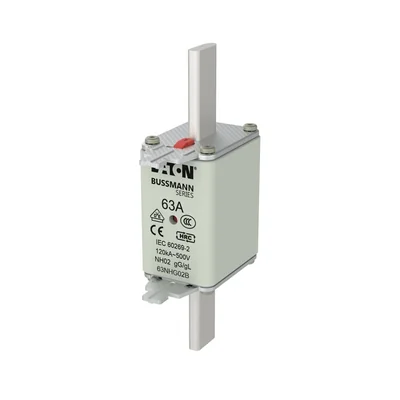 63NHG02B NH02 fuse link 63A 500V GL/GG double indicator