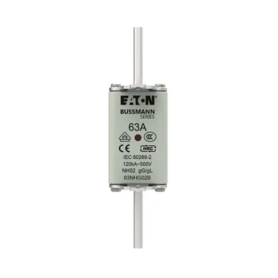 63NHG02B NH02 fuse link 63A 500V GL/GG double indicator