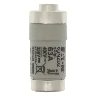 63NZ02 Vložka D02 63A T GL/GG 400VAC E18