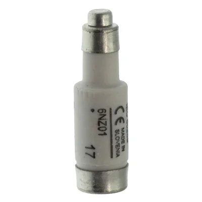 6NZ01 Einsatz D01 6A T GL/GG 400VAC E14
