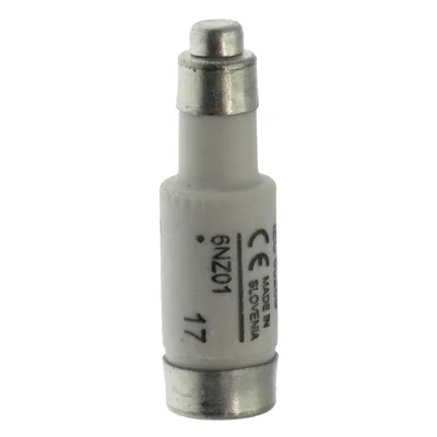 6NZ01 Vložka D01 6A T GL/GG 400VAC E14