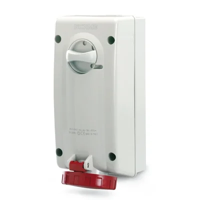 ADVANCE 2 socket with switch 32A 3P+E IP67
