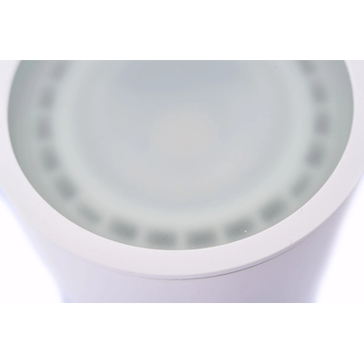 ALIX Apparecchio a plafone GU10 ES111 IP67 bianco