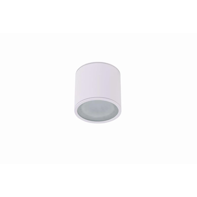 ALIX Luminaire apparent GU10 ES111 IP67 blanc