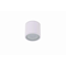 ALIX Surface-mounted luminaire GU10 ES111 IP67 white