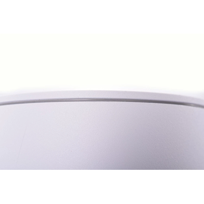 ALIX Surface-mounted luminaire GU10 ES111 IP67 white