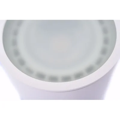 ALIX Surface-mounted luminaire GU10 ES111 IP67 white
