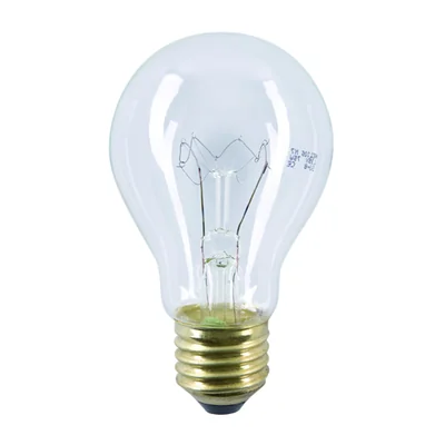 Ampoule de signalisation industrielle et minière 110-127 V 100 W E27 A55CL