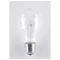 Ampoule haute température Soleo 100W A55 E27 24V