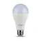 Ampoule LED 17 W A65 / Puce Samsung / Couleur : 3000 K / Culot : E27