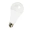 Ampoule LED A65 E27 17W 1750lm Blanc froid 6000K 200°