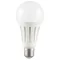 Ampoule LED classique A80 230 V 24 W E27 3000 K 25 000 h