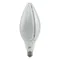 Ampoule Rocket E40 80W 4000K 8000lm E-40->E-27 IP65
